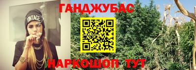 дурь Можга