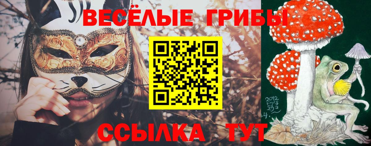 Псилоцибиновые грибы Magic Shrooms Чистополь